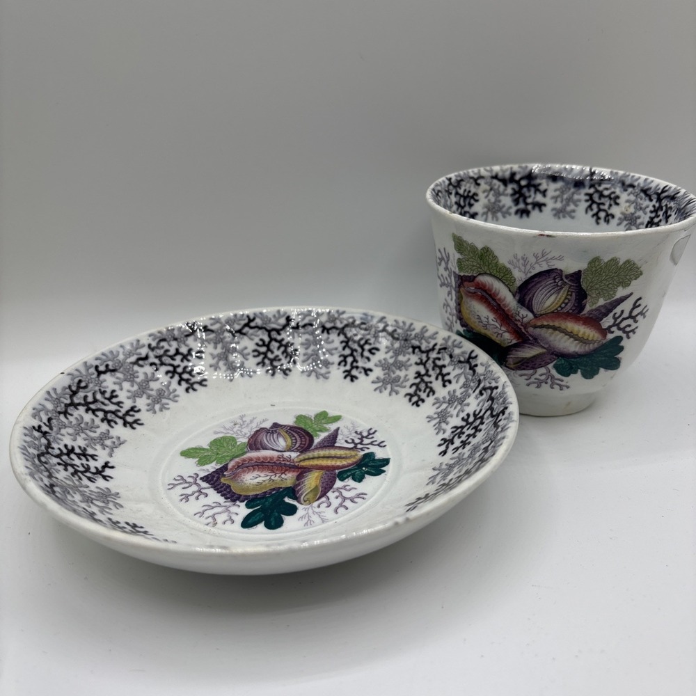 Jacob Furnival Ironstone Pottery Saucer And Cup‎ Coral Pattern  6" 1845 - 1870